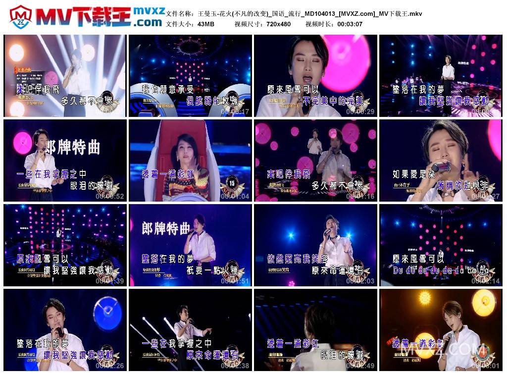 王曼玉-花火(不凡的改变)_国语_流行_MD104013